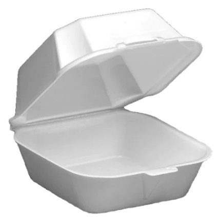 Foam Hinged Container