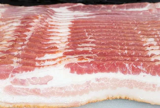 Bacon