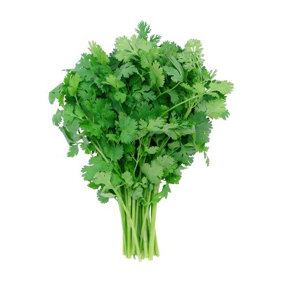 Cilantro