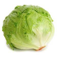 Lettuce Iceberg