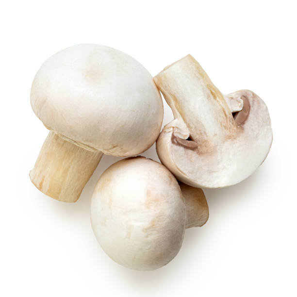Mushroom Fresh