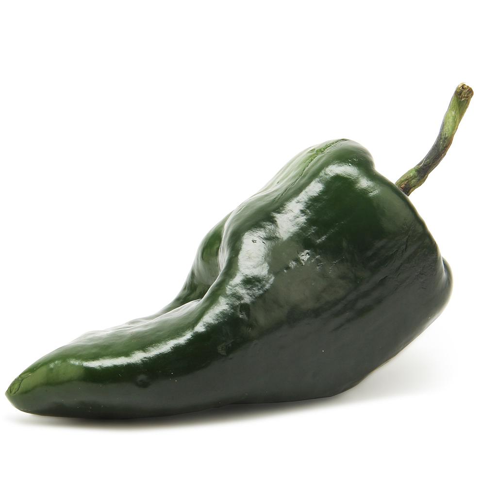 Poblano Pepper