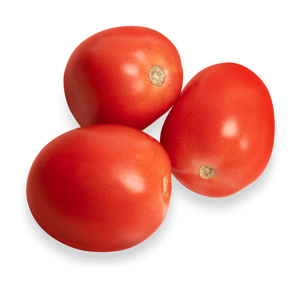 Tomato
